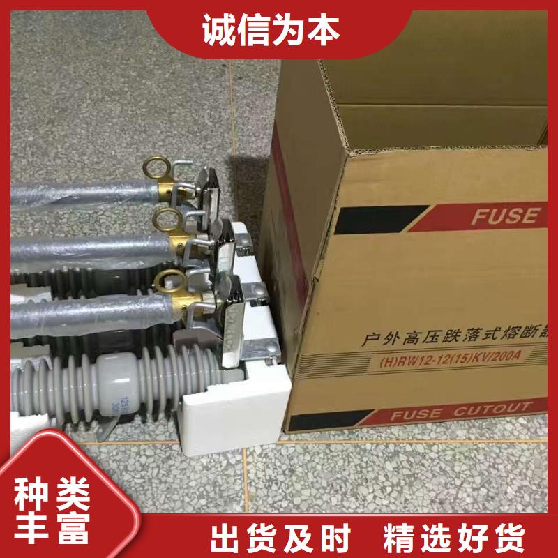 高压熔断器-RW10-10KV/100-RW10-10KV/200