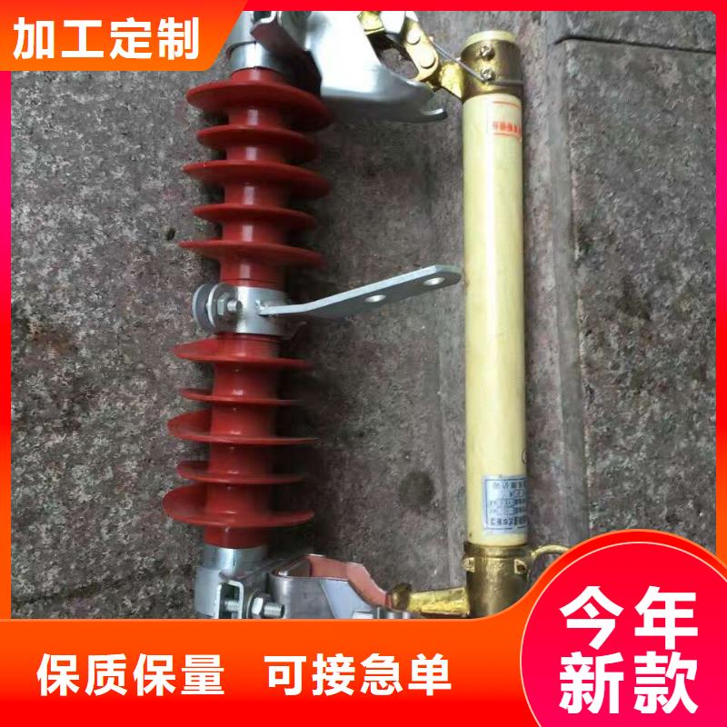 跌落式熔断器RW11-10H/100