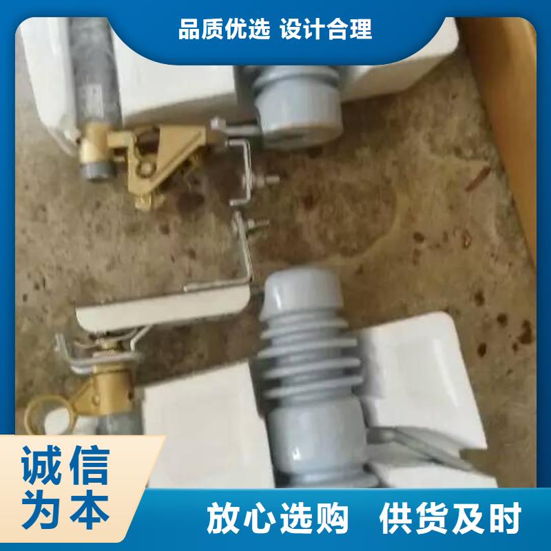 【跌落式熔断器】高压熔断器/RW12-15/100A