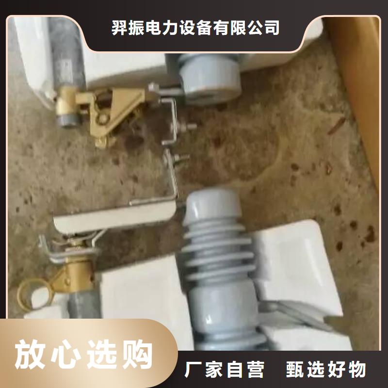 高压熔断器/HRW11-10F/100
