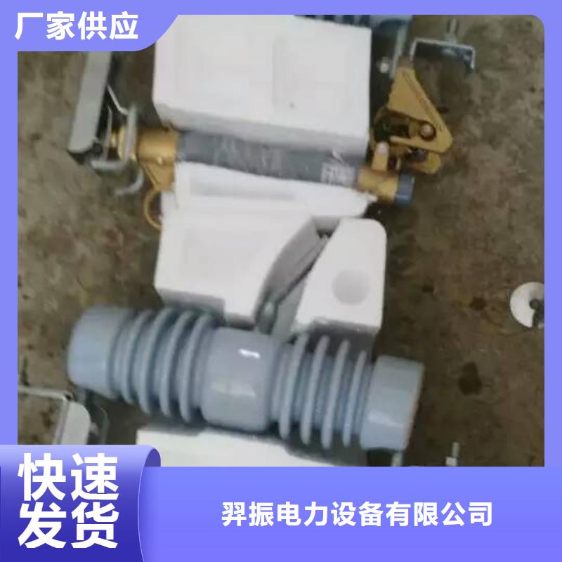 〖〗跌落式熔断器RW12-15F/100A