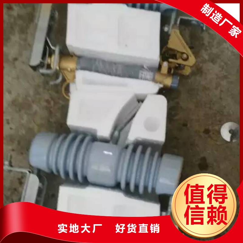 高压熔断器/RW12-12F/200A.