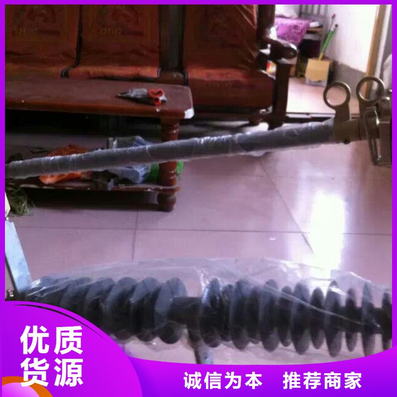 【跌落式熔断器】RW12-10/100A