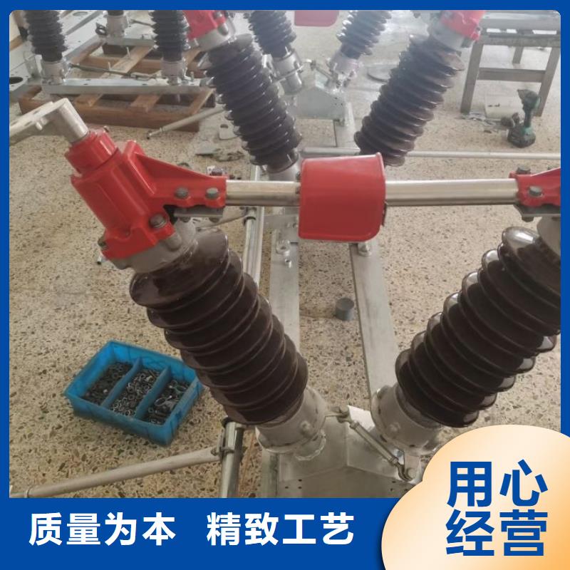 【羿振电气】户外高压断路器ZW32-12F/T630-20
