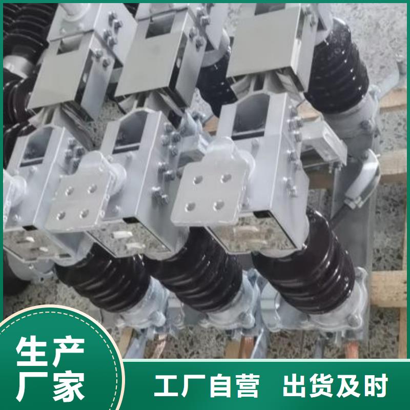 【羿振电气】户外高压断路器ZW32-12F
