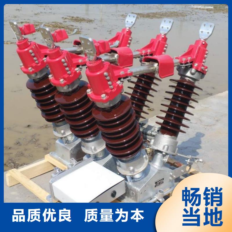 复合横担绝缘子FSW4-66/12.5
