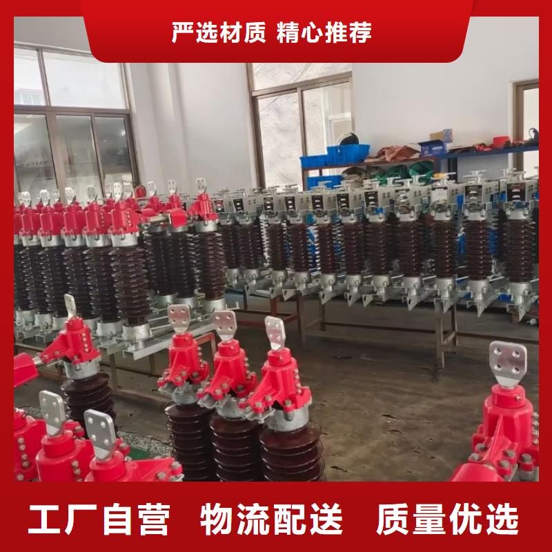 【羿振电气】户外高压断路器ZW32-12F/T630-20
