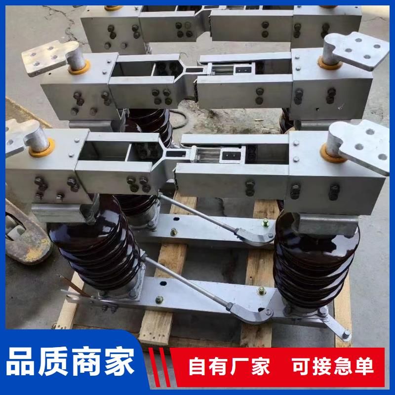 绝缘子ZS-35/800-绝缘子ZS-63/500