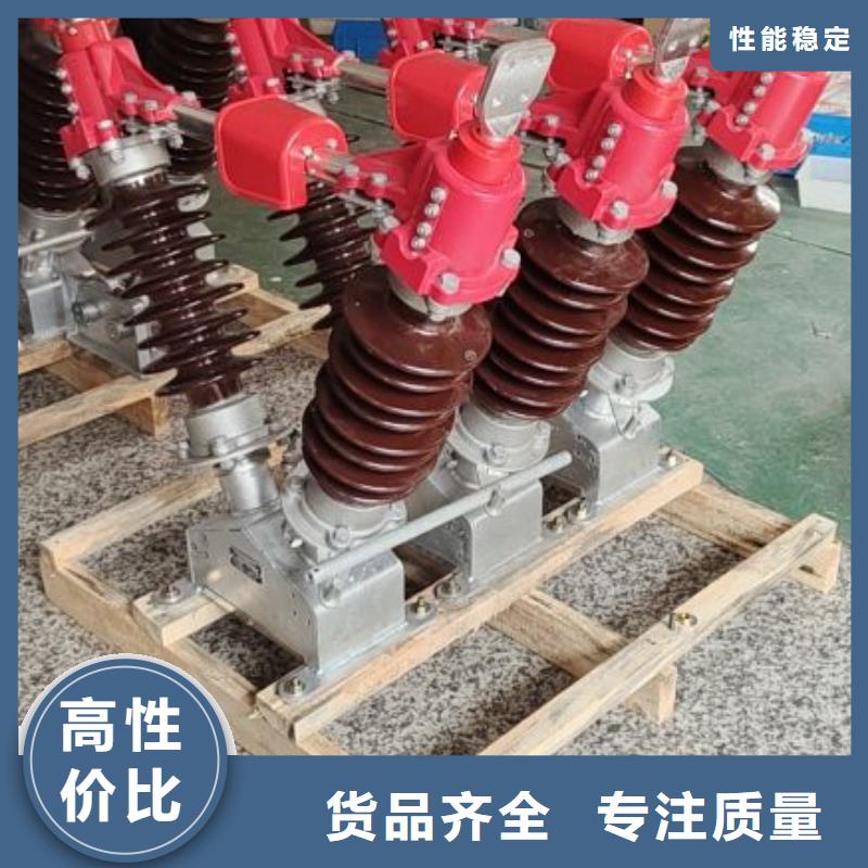 【羿振电气】户外高压断路器ZW32-12F/T630-20