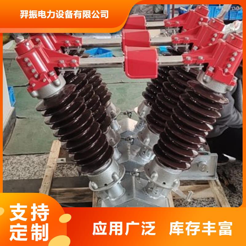 ZW32-12/630A户外高压柱上真空断路器手动智能型看门狗10KV