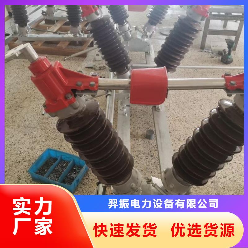 【羿振电力】ZW32-12G/T1250-31.5