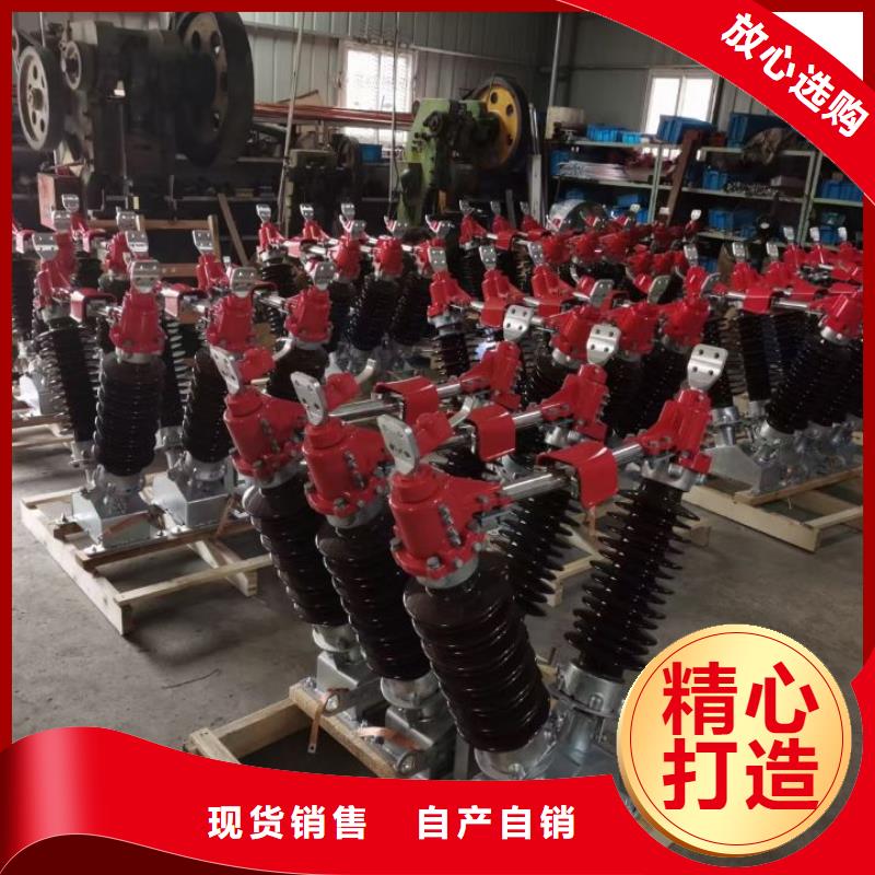 高压熔断器-RW11-12-HRW11-12【浙江羿振电气有限公司】