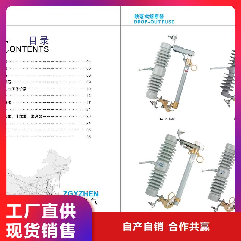 【绝缘子】ZL-40.5/8_支柱绝缘子