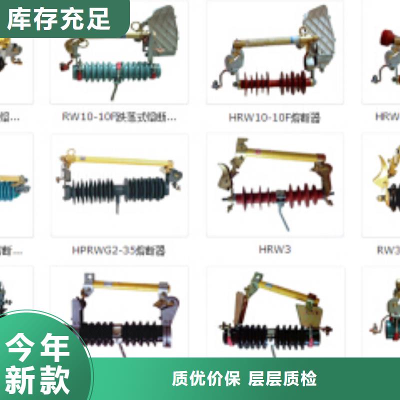 HY10W5-198/565【浙江羿振电气有限公司】避雷器生产厂家