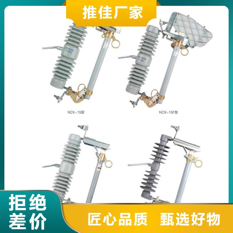 【羿振电力】高压断路器ZW32-12F/630-20