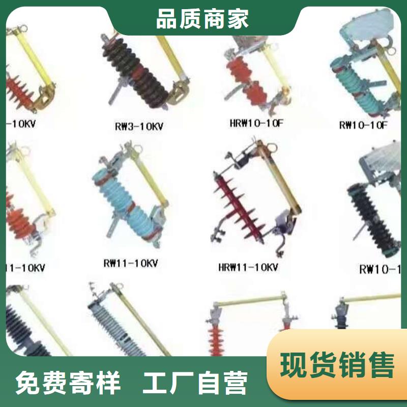 【羿振电气】YH5WZ2-96/250