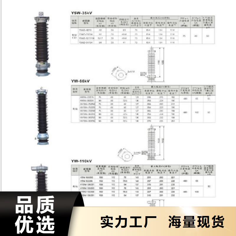 支持绝缘子：ZS-220/6
