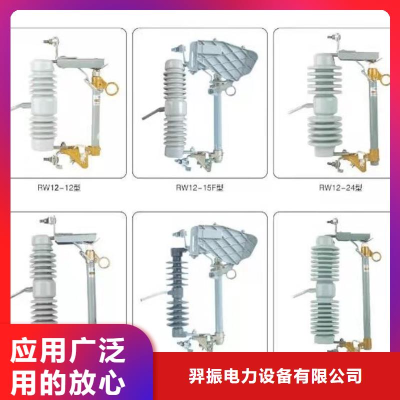 【羿振牌】支柱绝缘子ZD-24F