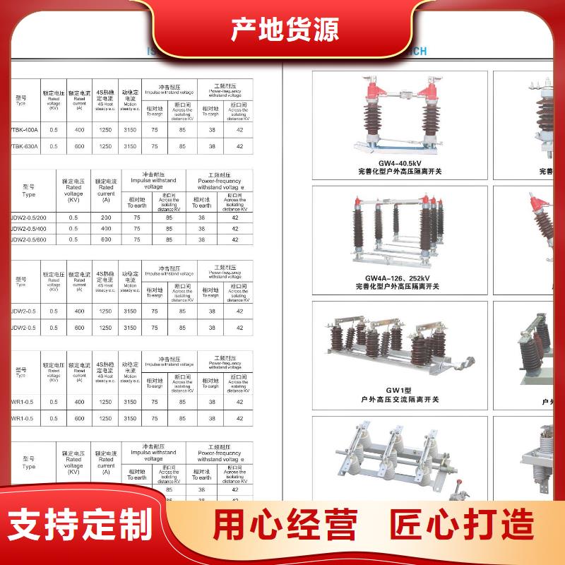 【高压穿墙套管】CWWL-24/630