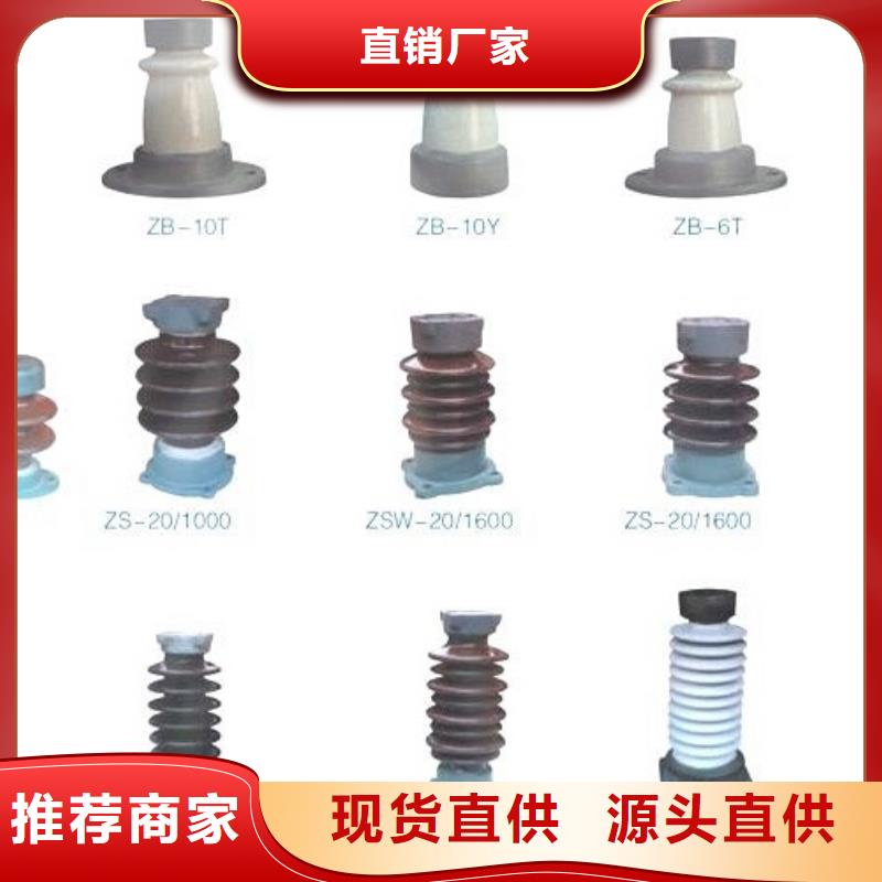 【避雷器】YH10WZ2-100/260S