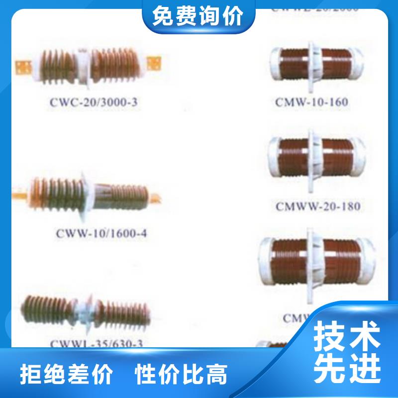 高压熔断器-RW11-12-HRW11-12【浙江羿振电气有限公司】