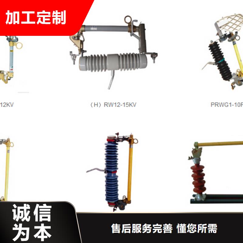 【金属氧化物避雷器】HY10WX-96/250-
免费咨询