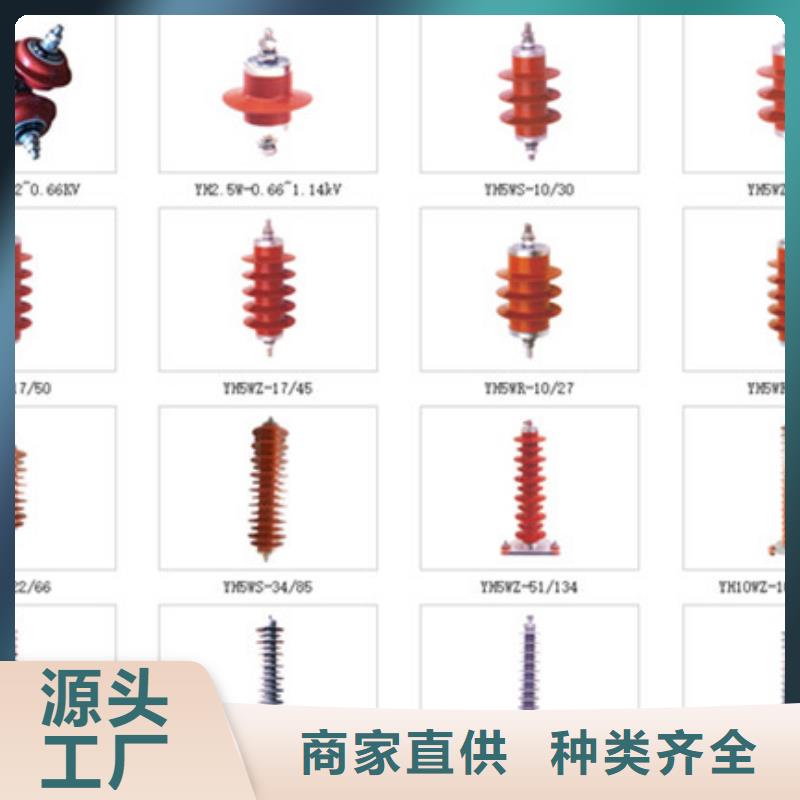 【羿振电气】YH5WZ2-96/250