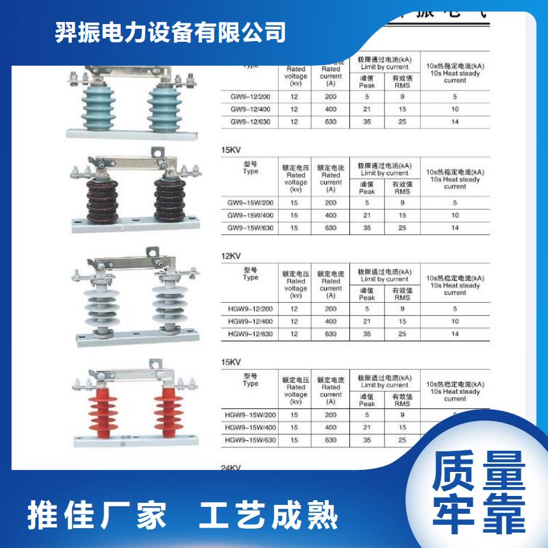 ZW32-12/630A户外高压柱上真空断路器手动智能型看门狗10KV