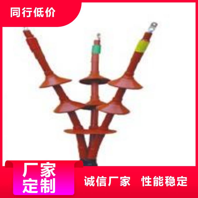35KVLSN-1/3户内冷缩电缆终端头