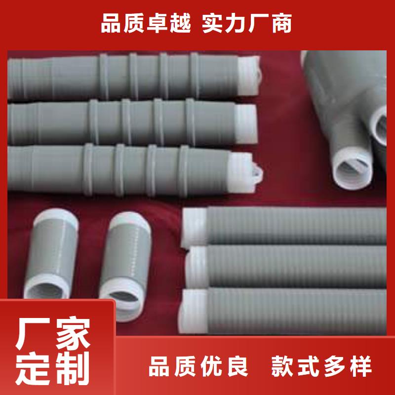 RSNY-3/1-24KV电缆终端头