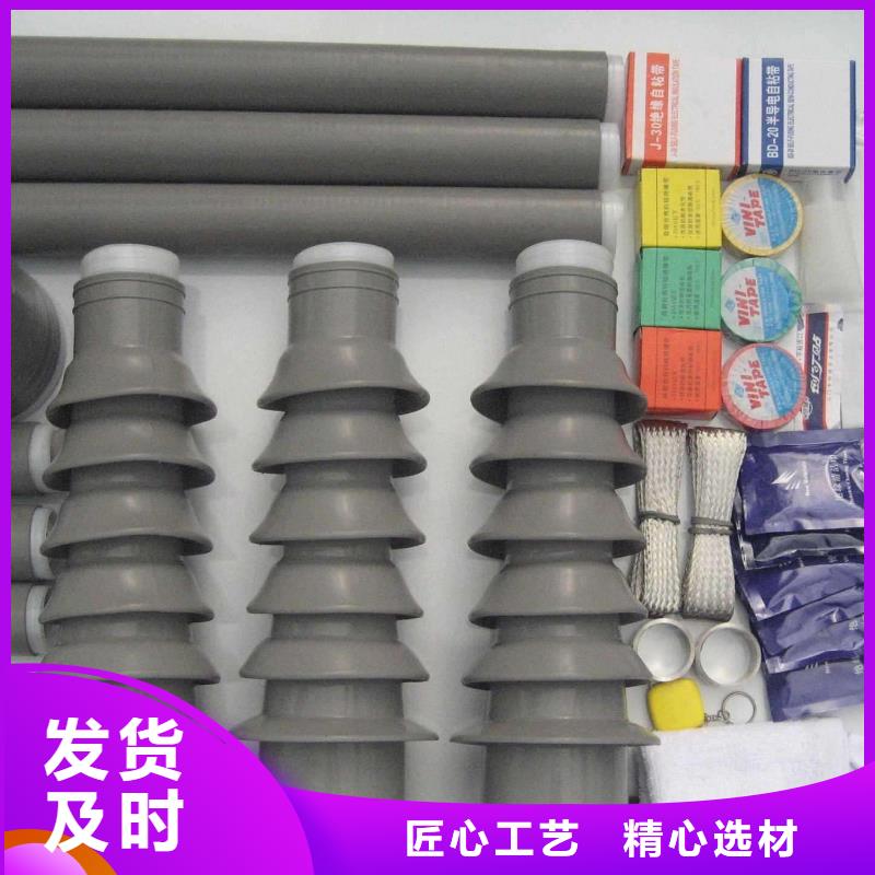 RSNY-3/1-24KV电缆终端头