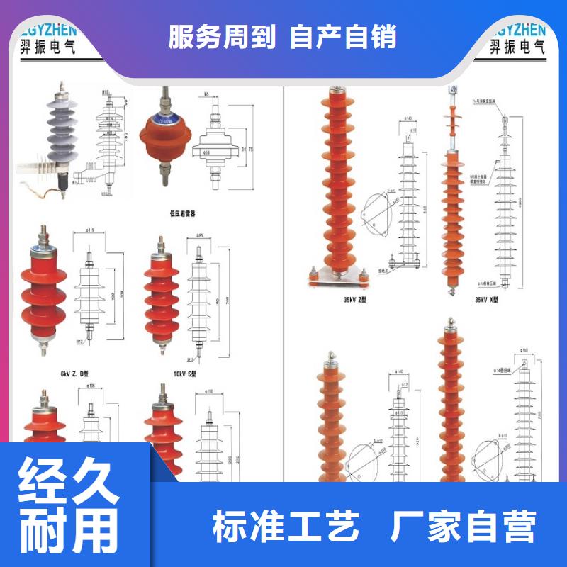 避雷器Y10W-108/281W【羿振电力设备】