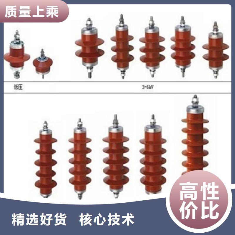 避雷器YH10WZ2-204/532S.