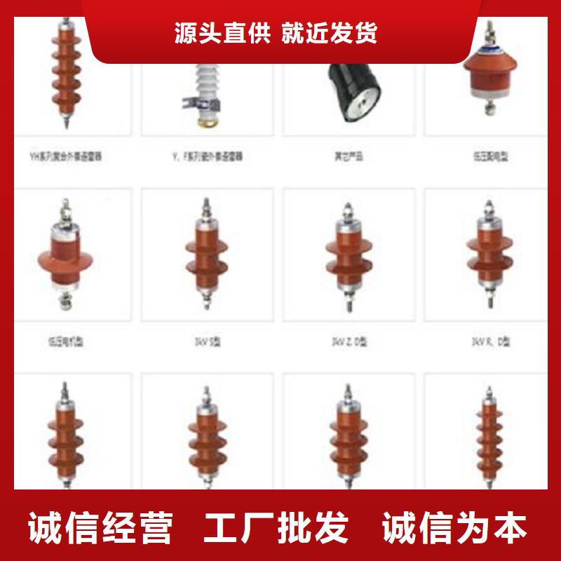 _避雷器YH10W-108/281【羿振电力设备】