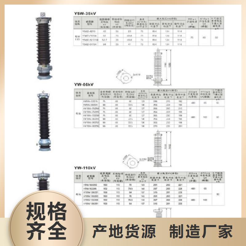 氧化锌避雷器Y10W1-108/281-浙江羿振电气有限公司