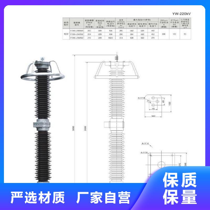 【羿振电力】避雷器YH10WT-100/260