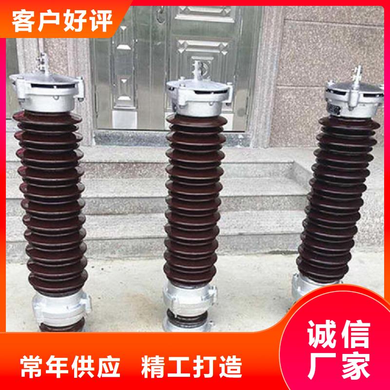 金属氧化物避雷器Y10WZ-102/266GY.