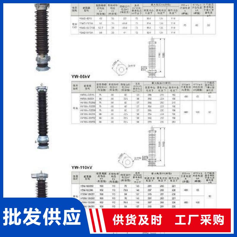 跌落式避雷器HY5WS-17/50DL-TB