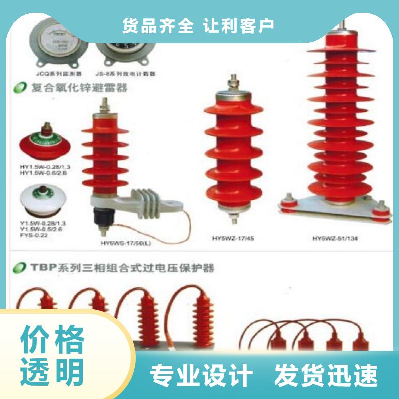 氧化锌避雷器Y10W-108/281浙江羿振电气有限公司