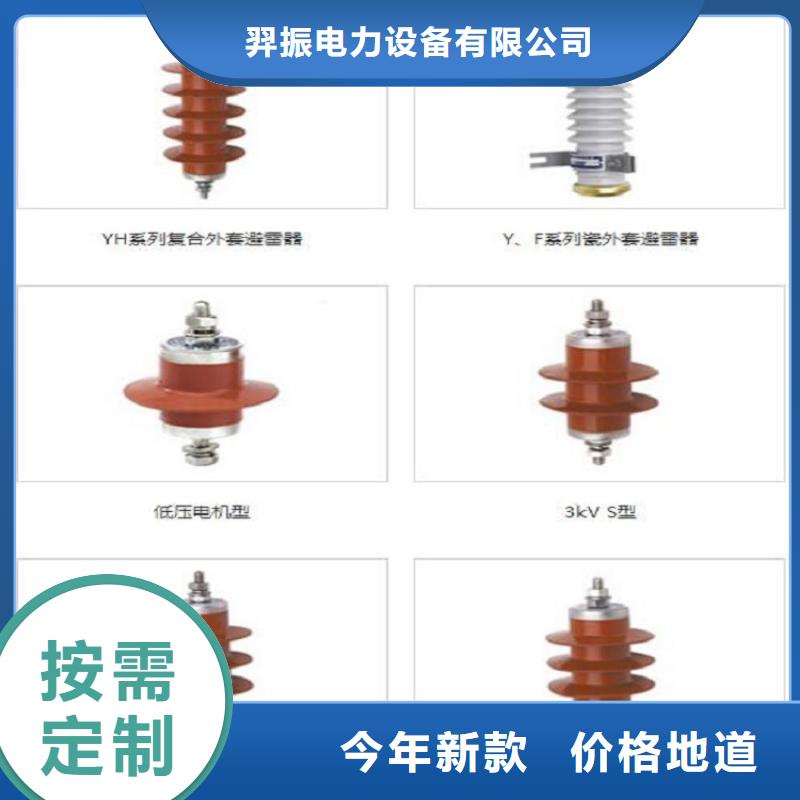 避雷器Y10W1-96/250