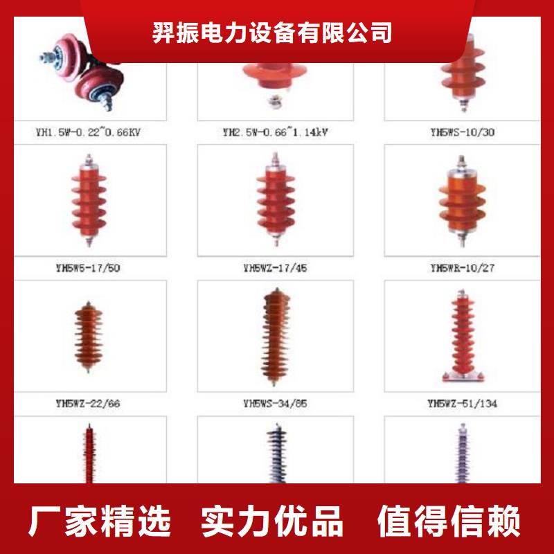 跌落式避雷器HY5WS-17/50DL-TB