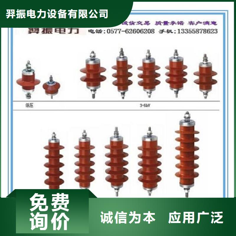 瓷外套金属氧化物避雷器Y10W-200/496.