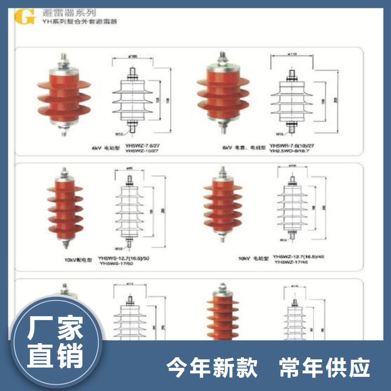 品牌：【羿振电力】金属氧化物避雷器Y10W-216/562