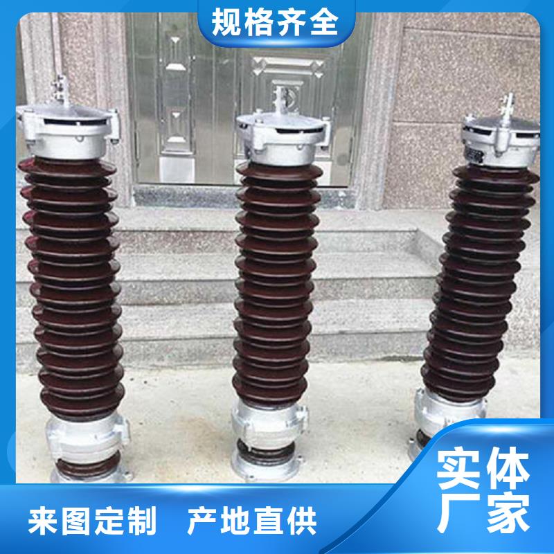 跌落式避雷器HY5WS-17/50-DL-上海羿振电力设备有限公司