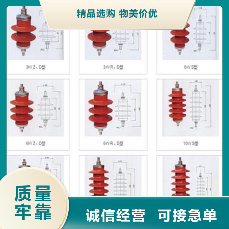 _避雷器YH10CX-90/260K【羿振电力设备】