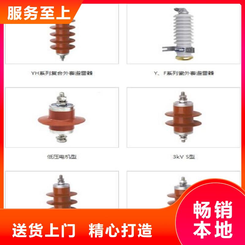 品牌：【羿振电力】瓷外套金属氧化物避雷器Y10W-102/266