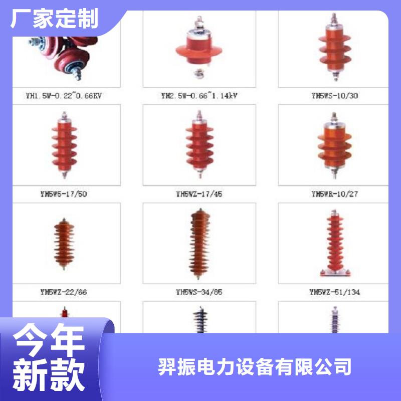 10KV复合外套无间隙氧化锌避雷器3EK4170-4GF4