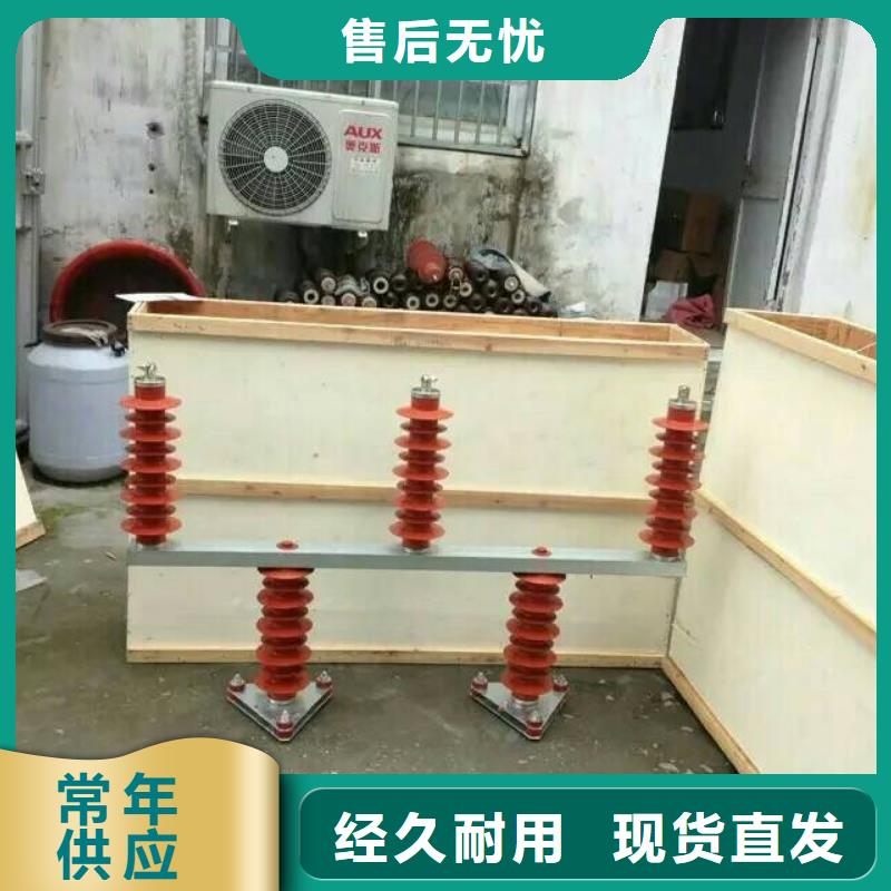 过电压保护器(组合式避雷器)YH5WZ-5/13.5*2
