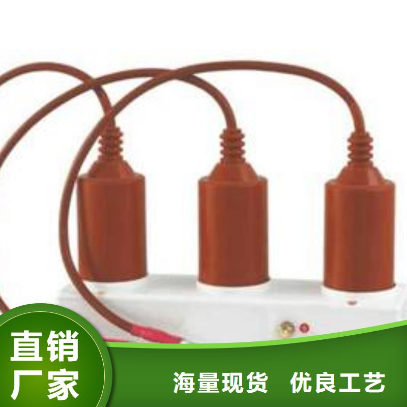 过电压保护器(组合式避雷器)HY5WR-51/150*51/134