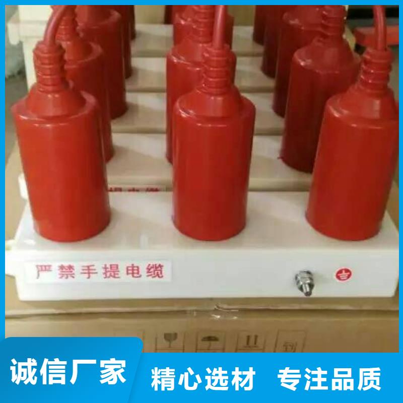 【羿振电力设备】过电压保护器TBP-A-42F/630W